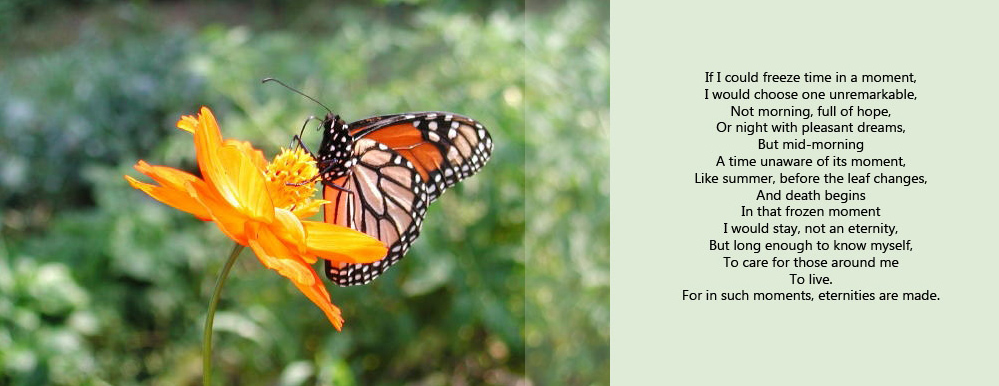 butterlfy.poem